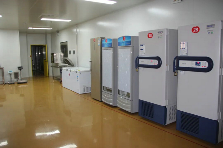 20260407春色滿廠區(qū) “7S”管理添春暉10